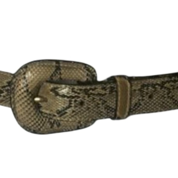 Authentic Python Belt by WCM New York - Picture 3 of 5